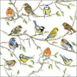 Ambiente - Birds Meeting - Papieren Lunch Servetten - Tuinvogels Thema Print - Roodborstje/pimpelmees/vink